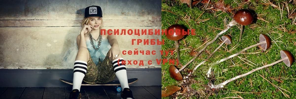 а пвп мука Няндома