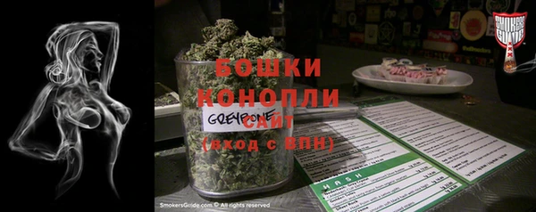дживик Нягань